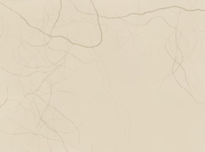 Botticino Engineered