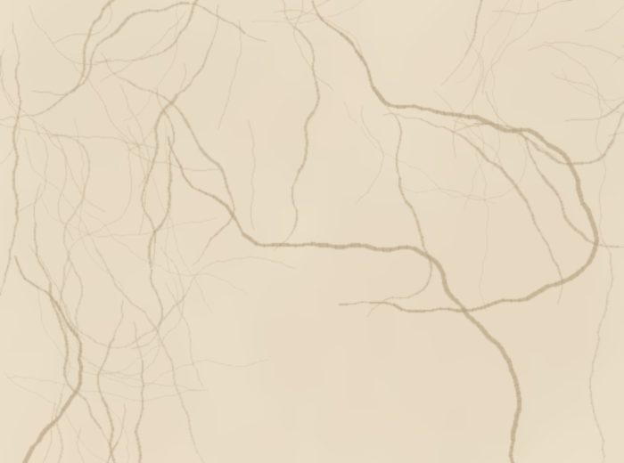 Crema Composite