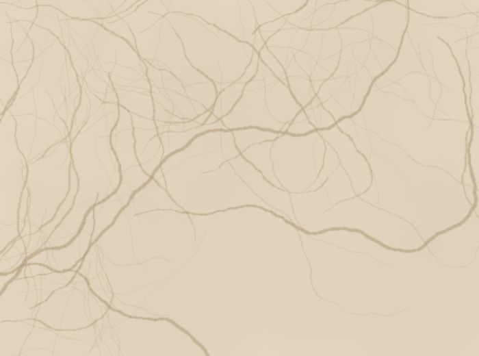 Botticino cream marble, imported from Italy