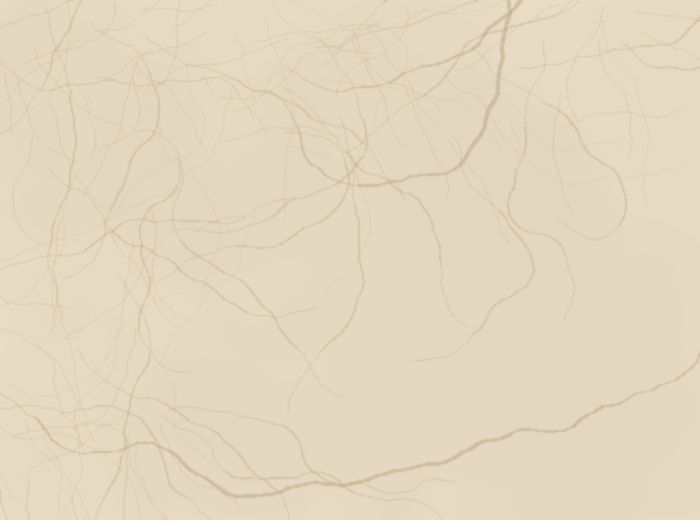Crema Marfil marble slab imported from Spain