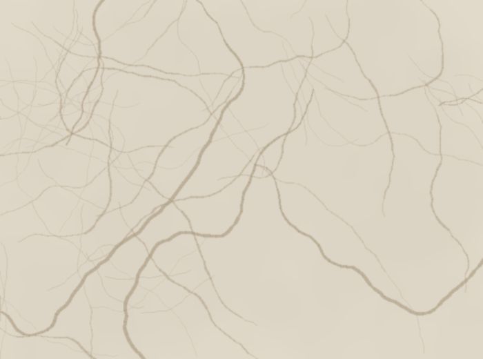 Tavera beige marble for export from Pakistan