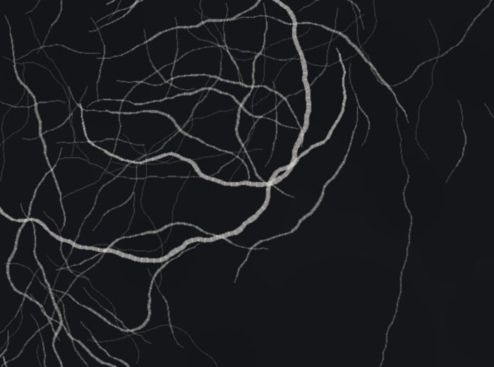 Nero Marquina Print
