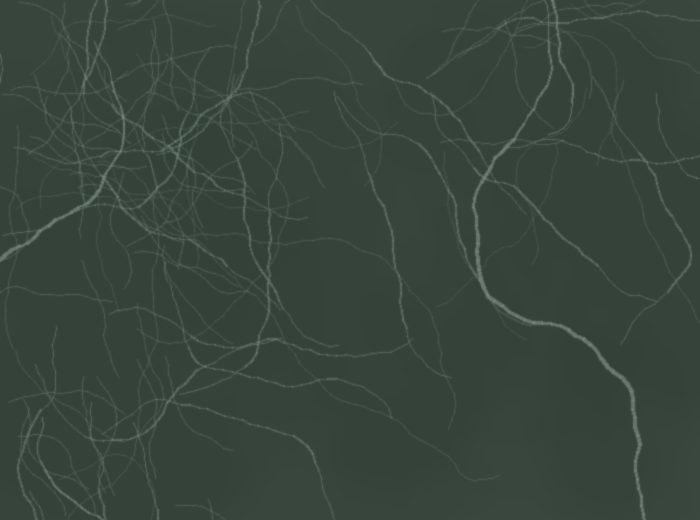 Verde Oscuro